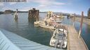 ./images/quadra/hbidock/20250603/hbidock20250603_154500M.jpg