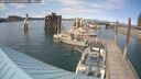 ./images/quadra/hbidock/20250603/hbidock20250603_155000M.jpg