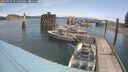 ./images/quadra/hbidock/20250604/hbidock20250604_111009M.jpg