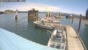 ./images/quadra/hbidock/20250604/hbidock20250604_120509M.jpg