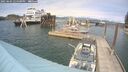 ./images/quadra/hbidock/20250604/hbidock20250604_144500M.jpg