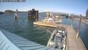 ./images/quadra/hbidock/20250604/hbidock20250604_164009M.jpg