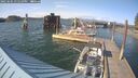 ./images/quadra/hbidock/20250604/hbidock20250604_175510M.jpg