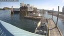 ./images/quadra/hbidock/20250605/hbidock20250605_083509M.jpg