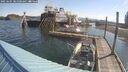 ./images/quadra/hbidock/20250605/hbidock20250605_085000M.jpg