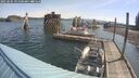 ./images/quadra/hbidock/20250605/hbidock20250605_091500M.jpg
