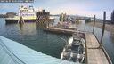 ./images/quadra/hbidock/20250605/hbidock20250605_104010M.jpg