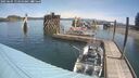 ./images/quadra/hbidock/20250605/hbidock20250605_114011M.jpg