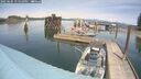 ./images/quadra/hbidock/20250605/hbidock20250605_135010M.jpg