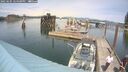 ./images/quadra/hbidock/20250605/hbidock20250605_144500M.jpg