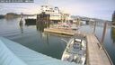 ./images/quadra/hbidock/20250605/hbidock20250605_145510M.jpg