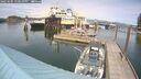 ./images/quadra/hbidock/20250605/hbidock20250605_150010M.jpg