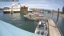./images/quadra/hbidock/20250606/hbidock20250606_124500M.jpg