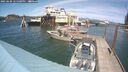 ./images/quadra/hbidock/20250606/hbidock20250606_145500M.jpg
