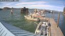 ./images/quadra/hbidock/20250606/hbidock20250606_172000M.jpg