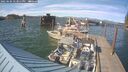 ./images/quadra/hbidock/20250606/hbidock20250606_173011M.jpg
