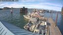 ./images/quadra/hbidock/20250606/hbidock20250606_174511M.jpg