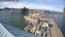 ./images/quadra/hbidock/20250606/hbidock20250606_175510M.jpg