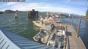 ./images/quadra/hbidock/20250606/hbidock20250606_180012M.jpg