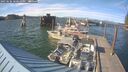./images/quadra/hbidock/20250606/hbidock20250606_180510M.jpg