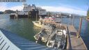 ./images/quadra/hbidock/20250606/hbidock20250606_184511M.jpg