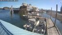 ./images/quadra/hbidock/20250607/hbidock20250607_090510M.jpg