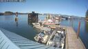 ./images/quadra/hbidock/20250607/hbidock20250607_163011M.jpg