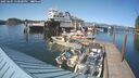 ./images/quadra/hbidock/20250607/hbidock20250607_170500M.jpg