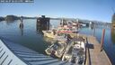 ./images/quadra/hbidock/20250607/hbidock20250607_181011M.jpg