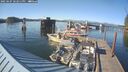./images/quadra/hbidock/20250607/hbidock20250607_182011M.jpg