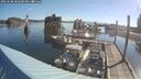./images/quadra/hbidock/20250608/hbidock20250608_082500M.jpg