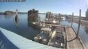./images/quadra/hbidock/20250608/hbidock20250608_083000M.jpg