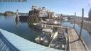 ./images/quadra/hbidock/20250608/hbidock20250608_085000M.jpg