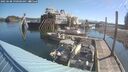 ./images/quadra/hbidock/20250608/hbidock20250608_090000M.jpg