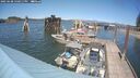 ./images/quadra/hbidock/20250608/hbidock20250608_150011M.jpg