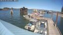 ./images/quadra/hbidock/20250608/hbidock20250608_150510M.jpg