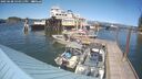 ./images/quadra/hbidock/20250608/hbidock20250608_154010M.jpg