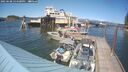 ./images/quadra/hbidock/20250608/hbidock20250608_154500M.jpg