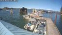 ./images/quadra/hbidock/20250608/hbidock20250608_161010M.jpg
