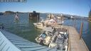 ./images/quadra/hbidock/20250608/hbidock20250608_164009M.jpg