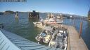 ./images/quadra/hbidock/20250608/hbidock20250608_164500M.jpg