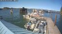 ./images/quadra/hbidock/20250608/hbidock20250608_164511M.jpg