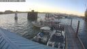 ./images/quadra/hbidock/20250608/hbidock20250608_205500M.jpg