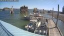 ./images/quadra/hbidock/20250609/hbidock20250609_092500M.jpg