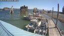 ./images/quadra/hbidock/20250609/hbidock20250609_100000M.jpg