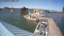 ./images/quadra/hbidock/20250609/hbidock20250609_162000M.jpg