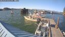 ./images/quadra/hbidock/20250609/hbidock20250609_183011M.jpg