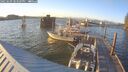 ./images/quadra/hbidock/20250609/hbidock20250609_203508M.jpg