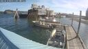 ./images/quadra/hbidock/20250610/hbidock20250610_084010M.jpg