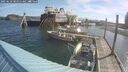 ./images/quadra/hbidock/20250610/hbidock20250610_085011M.jpg